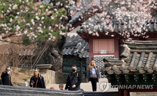 28일 오전 서울 덕수궁을 찾은 미국인 관광객 가족들이 살구꽃이 핀 궁궐을 거닐며 봄을 만끽하고 있다. 사진 연합뉴스
